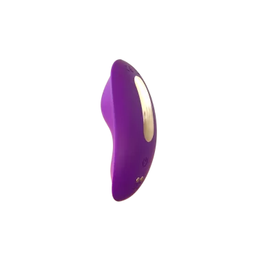 装着ローター  紫  アプリ操作  外出調教 女性用 小型 潮吹き電マ アダルトグッズ