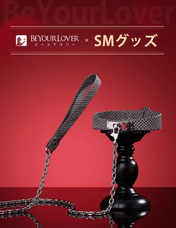 BeYourLover 首輪 リード付き グレー SMグッズ 拘束具 調節可能 大人のおもちゃ BeYourLover 首輪 リード付き グレー SMグッズ 拘束具 調節可能 大人のおもちゃ