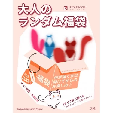 【数量限定】大人のランダム福袋 おもちゃだけ or 2点セット 未開封品