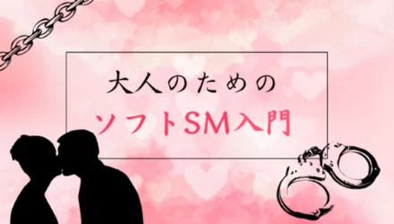 大人のためのソフトSM入門！ハードSMとの違いや方法を解説 NEW！