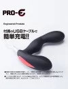 PRO-E Spinner プロイー スピナー アナルグッズ 前立腺への刺激 圧転 アダルトグッズ PRO-E Spinner プロイー スピナー アナルグッズ 前立腺への刺激 圧転 アダルトグッズ