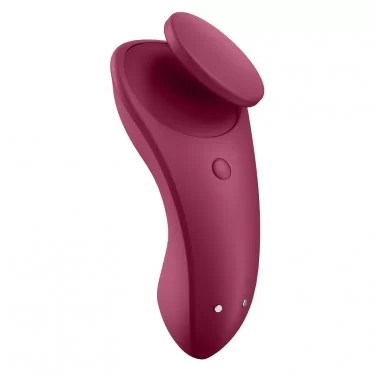 Satisfyer Sexy Secret セクシーシークレット リモコンローター 遠隔操作  大人のおもちゃ