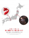 Toycod VANESIAスマホ操作遠隔蝶 蝶々装着バイブ バイブレーター 女性用 2点責め Toycod VANESIAスマホ操作遠隔蝶 蝶々装着バイブ バイブレーター 女性用 2点責め