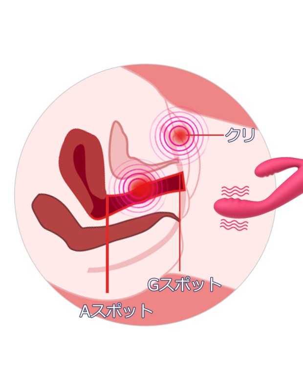 SVAKOM Coral バイブ 初心者 開発