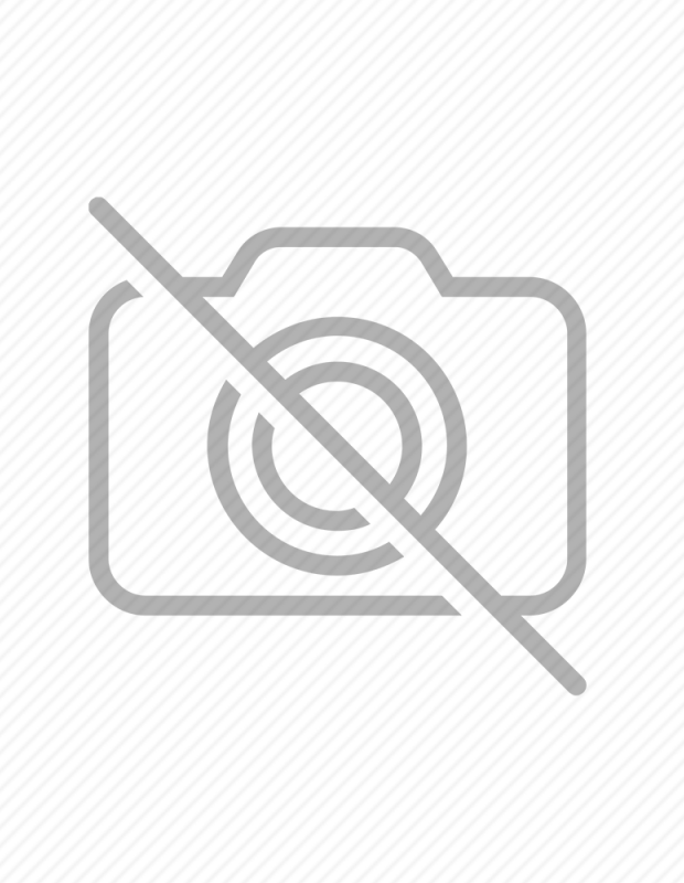 ZEMALIA ペニスリング付き遠隔アナルプラグ アナルバイブ ZEMALIA ペニスリング付き遠隔アナルプラグ アナルバイブ