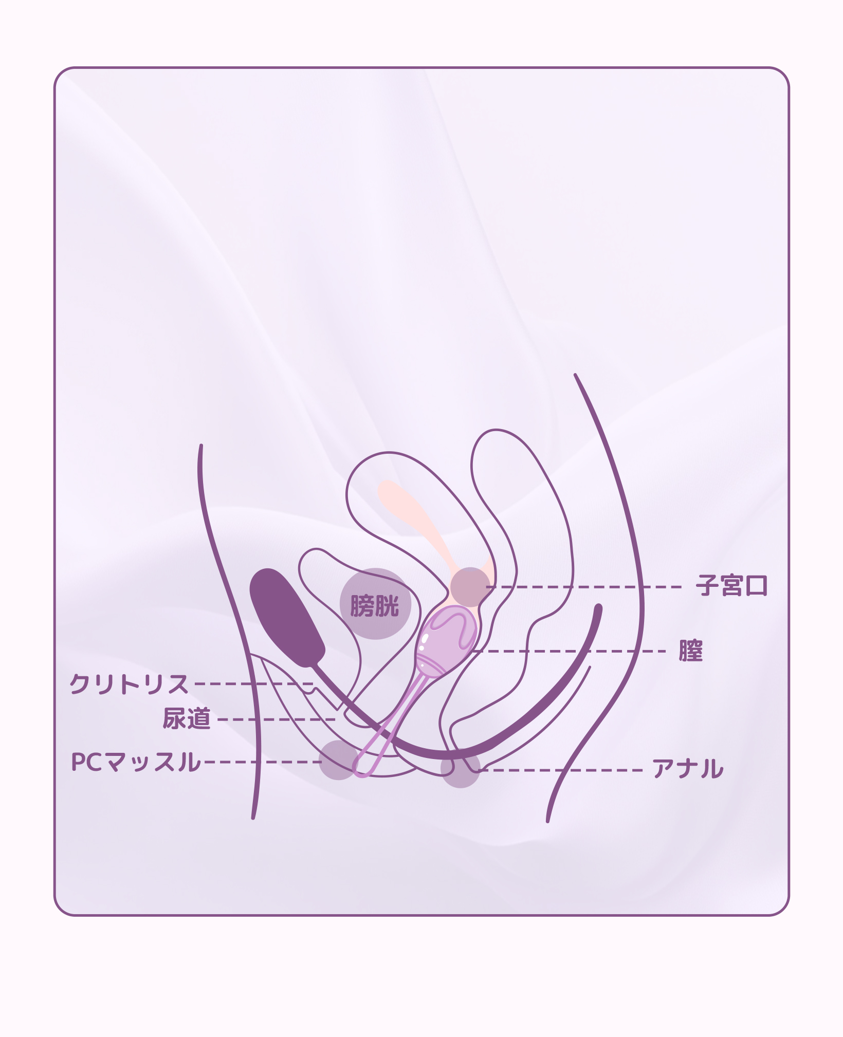 ToyCod コア美 膣トレボール 膣圧トレーニング 尿漏れ対策 初心者向け 産後ケア 骨盤底筋トレーニング
