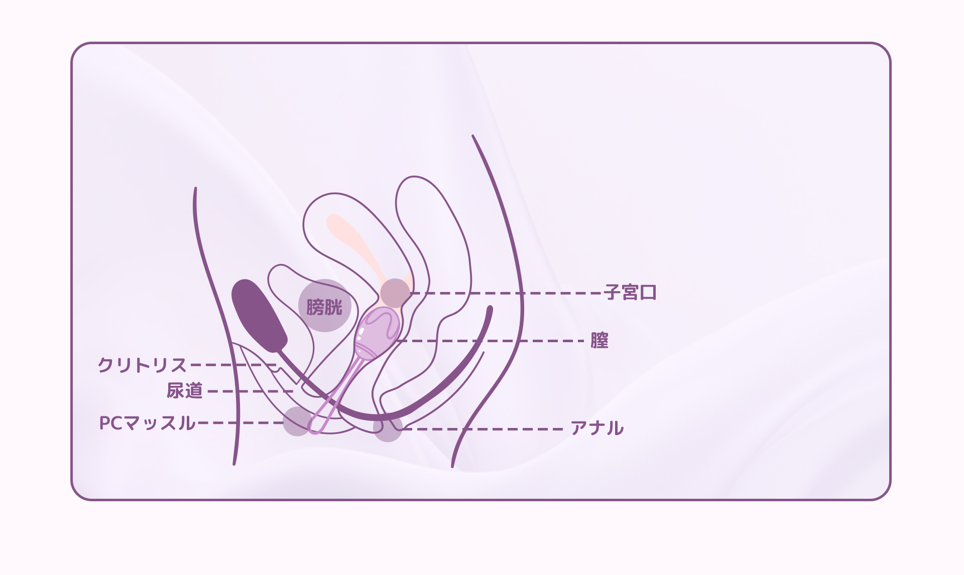 ToyCod コア美 膣トレボール 膣圧トレーニング 尿漏れ対策 初心者向け 産後ケア 骨盤底筋トレーニング